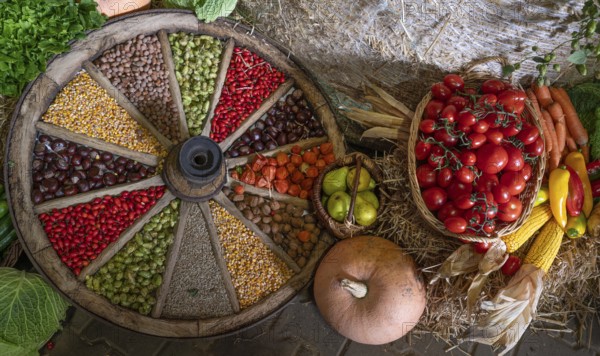 Fruit decorated in and around an old wooden spoked wheel at a harvest festival, Franconia, Bavaria,
