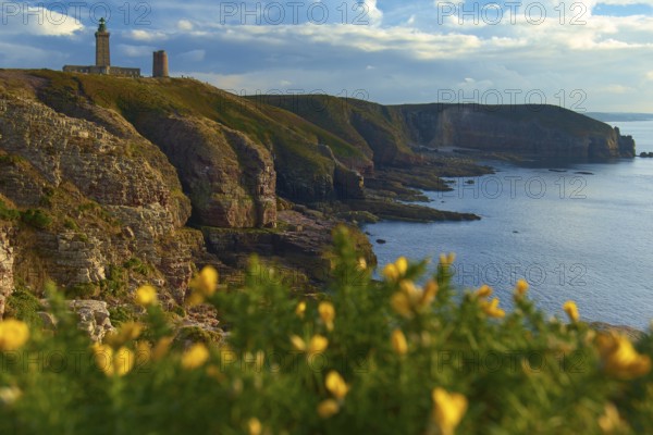 Coastal landscape with cliffs and sea, a lighthouse at Cap Frehel, gorse in the foreground, Cap