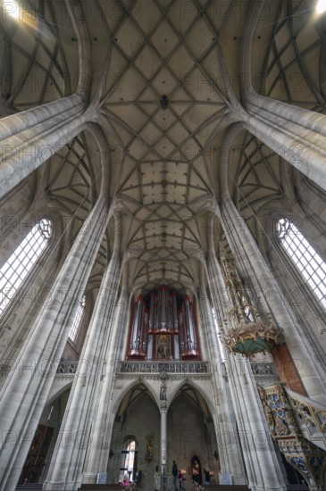 Interior with organ loft, organ built in 1997, late Gothic hall church of St George, Dinkelsbühl,