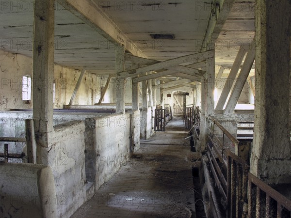 Abandoned pigsty of a former farmstead, built around 1920, Othenstiorf Estate,