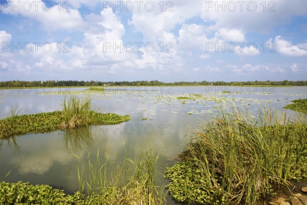 Debara Wewa Reservoir, Tissamaharama, Southern Province, Sri Lanka, Asia