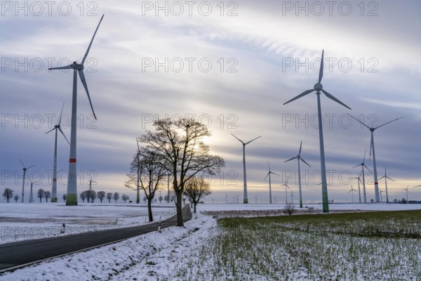 Country road, wind farm, north of Lichtenau, self-proclaimed energy town, over 190 wind turbines