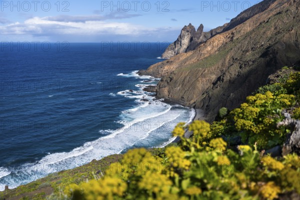 The north-west coast of La Gomera with the Playa de Arguamul beach. Mountains, cliffs and steep