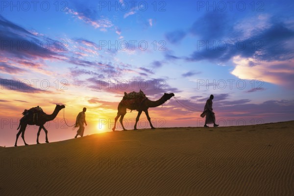Indian cameleers camel drivers bedouin with camel silhouettes in sand dunes of Thar desert on