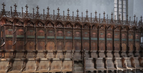 Late Gothic choir stalls from 1507, St Martin, Memmingen, Bavaria, Germany, Europe