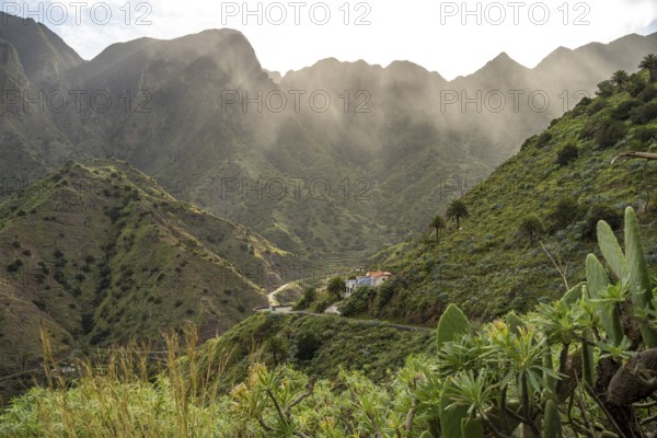 Landscape in the valley of Hermigua, La Gomera, Canary Islands, Spain, Europe