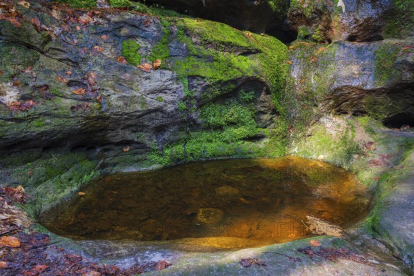 Glacial pothole filled with water at the Schwedenlöcher, a narrow gorge of the Amselgrund near the