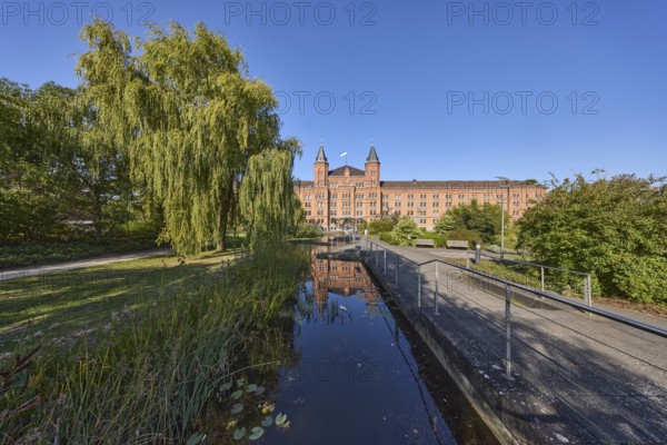New town hall, park, trees, Babylon willow (Salix babylonica), footpath, pond, metal railing, blue