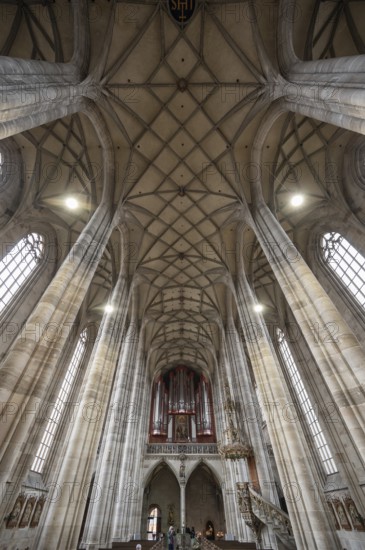 Interior with net vaulting and organ loft, organ built in 1997, late Gothic hall church of St