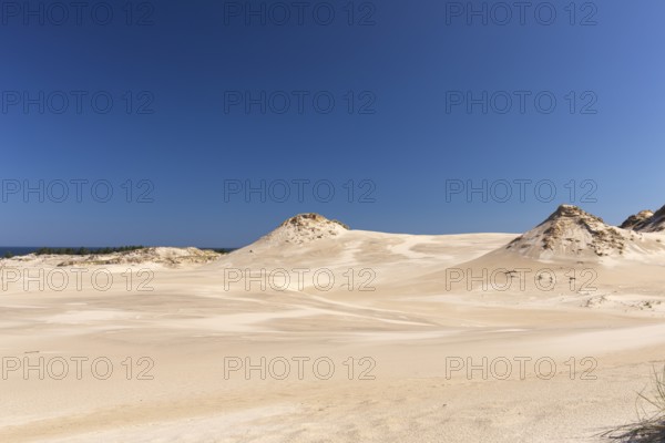 Lacka Dune on a sunny day with a blue sky in the Slowinski National Park, northern Poland on the