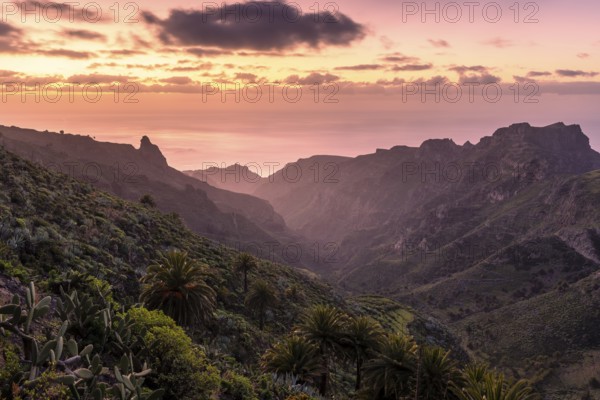 View of the Barranco Juan de Vera at sunrise. Mountains, palm trees, rocks and sea. Near Mirador