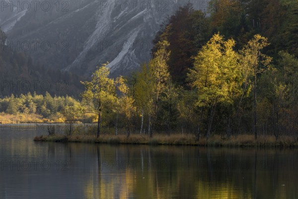 Lake Almsee in autumn with a forest reflected in the lake
