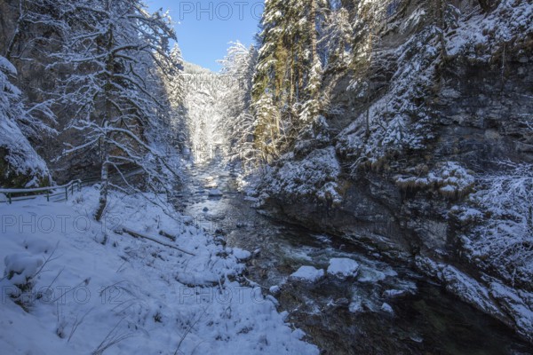 Winter, snowy landscape, river Breitach and hiking trail through the Breitachklamm gorge near