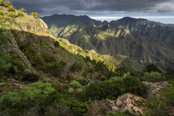 Mountain landscape. View from the Mirador Degollada de Peraza to the north into the Barranco de Las