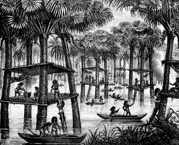 Indigenous people living in families on prehistoric pile dwellings in the Rio Orinoco, tropical