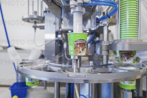Industrial filling machine fills ice cream into green tubs, ice cream production Haselstaller Hof,