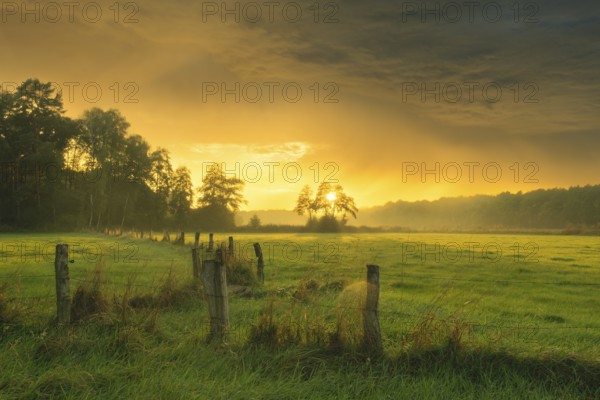View of a wooden fence over green meadows at the edge of a forest with an intense sunset, Neustadt