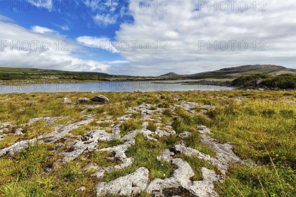 Karst landscape, lake on the horizon, Burren National Park, County Clare, Ireland, Europe