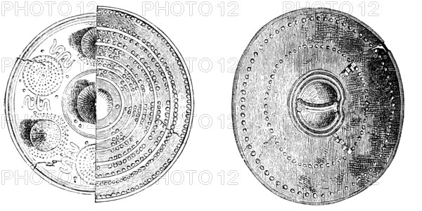 Bronze shields, bronze ore, rich ornamentation, craft, weapon, defence, war, fight, defence,