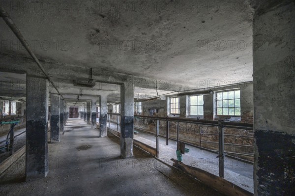 Empty cowshed of a former LPG of the GDR, Mecklenburg-Vorpommern, Germany, Europe