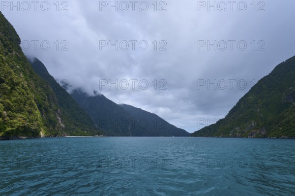 Blue water between forested mountains fjord landscape with cloud cover, summer, Milford Sound, Te