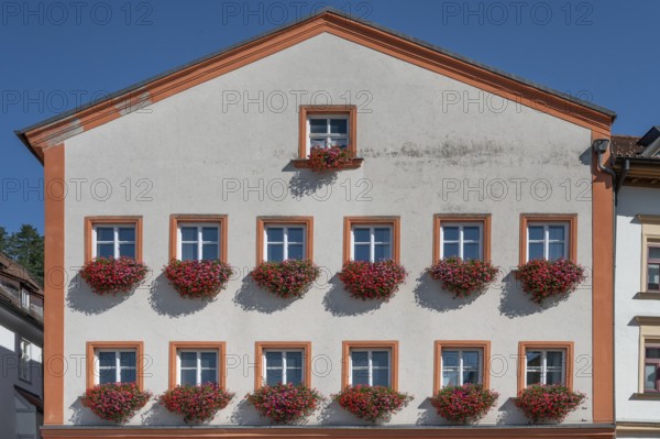 Residential building façade with blooming geraniums (Pelargonium) in the flower boxes at the