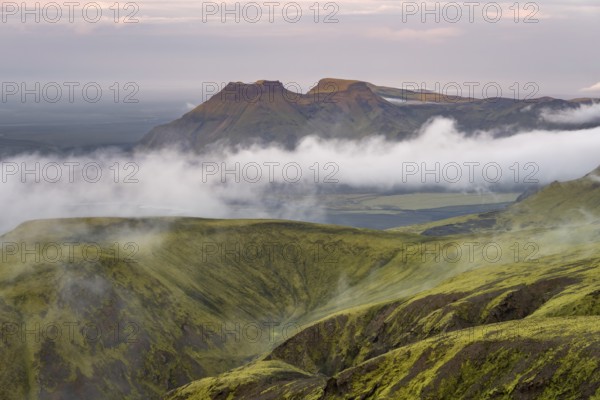 Fog between mountains, moss-covered volcanic mountain landscape, at sunset, Pakgil, Iceland, Europe