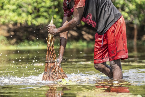 Fisherman pushing his basket with force into the water to the ground for catching fish with his