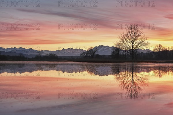 Pilatus reflected in the flooded nature reserve in the evening light, Reussspitz, Hünenberg, Canton
