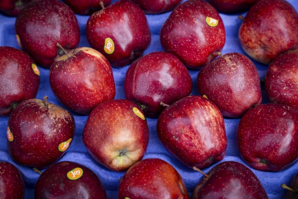 Vendor diaplays apples to sell at a market, on the day of the presentation of Union Budget, in