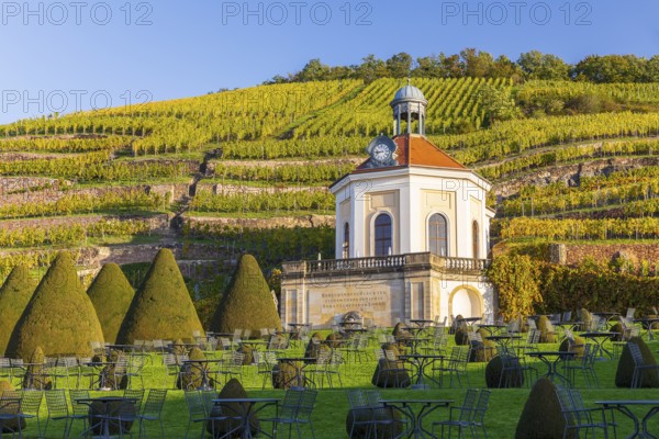 Belvedere in the vineyard, palace gardens Wackerbarth, Radebeul, Saxony, Germany, Europe