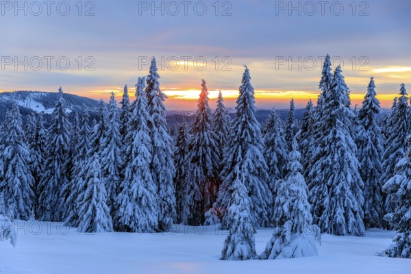 Sunset and winter landscape at the Wossecker Baude above Harrachsdorf in the Giant Mountains, Czech