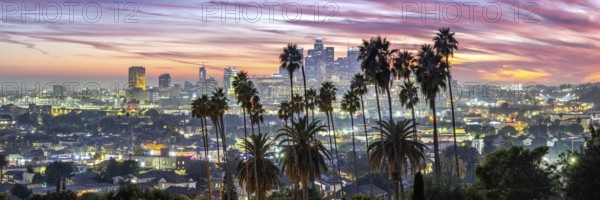 Los Angeles skyline with palm trees and downtown at sunset panorama in California in Los Angeles,