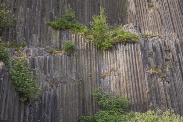 Panska skala, (Mansion/Manor Rock) also called the Varhany (Organ) is an unobtrusive hillock close