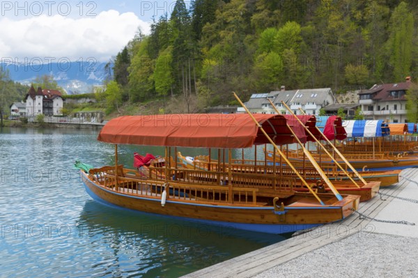 Wooden boat with red canopy on the lake in front of a wooded slope with houses, Lake Bled, Lake