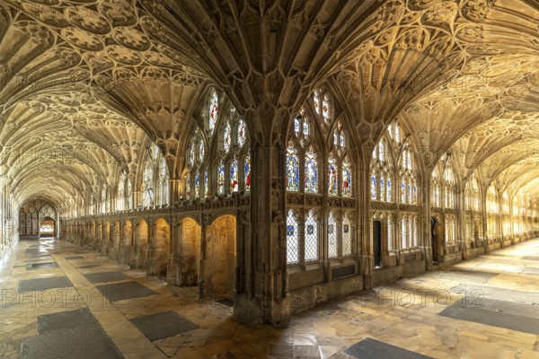Cloister with fan vault of Gloucester Cathedral, England, Great Britain