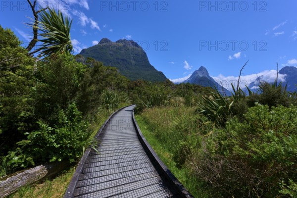 Wooden walkway leads through lush landscape, flanked by high mountains under a blue sky with few