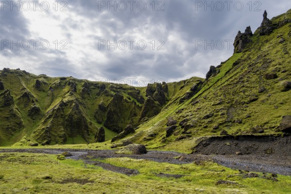 Stream bed in a green moss-covered gorge, enchanted volcanic landscape, Pakgil, Iceland, Europe