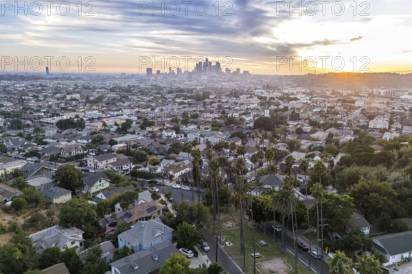 Los Angeles skyline aerial view with palm trees and downtown at sunset in California in Los