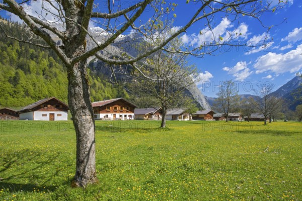 The alpine village of Eng, Eng-Alm, Karwendel mountains, Tyrol, Austria, Europe