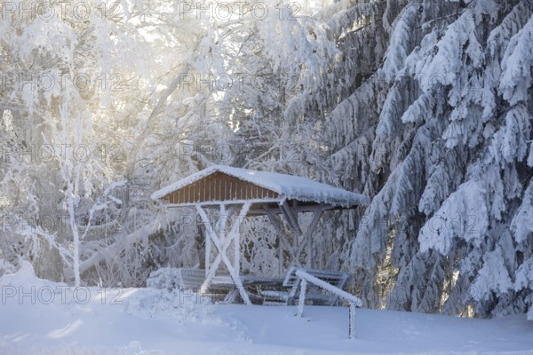 Sun shining through the trees covered in thick hoarfrost onto the snow-covered picnic area on the