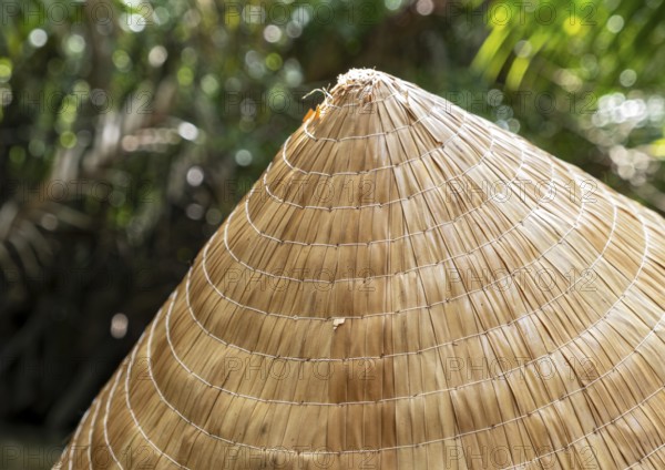 Close-up of Traditional Vietnamese Conical Hat, Mekong Delta, Vietnam, Asia