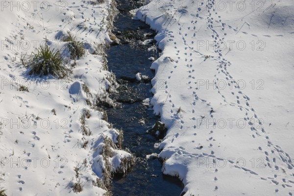Bochum, North Rhine-Westphalia, Germany - Sunny winter landscape in the Ruhr area, ice and snow on