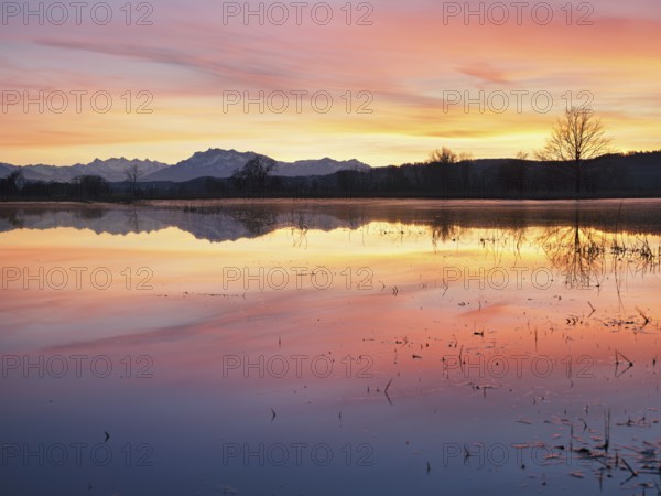 Pilatus reflected in the flooded nature reserve in the evening light, Reussspitz, Hünenberg, Canton