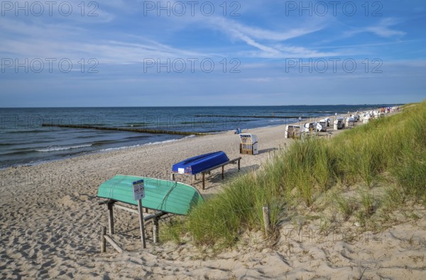 Graal-Müritz, Mecklenburg-Western Pomerania, Germany, Beach chairs on the sandy beach of the Baltic