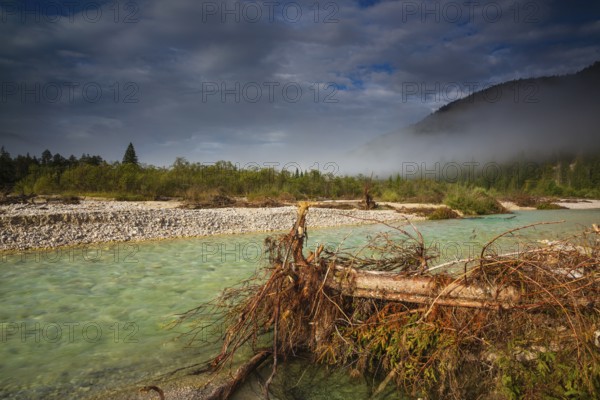 Isar valley nature conservancy area. The wild Isar river flows through its gravel bed past