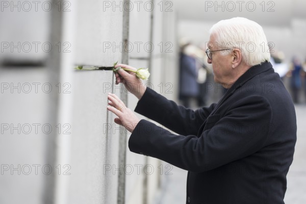 Frank-Walter Steinmeier (President of the Federal Republic of Germany) sticks a rose into the Wall