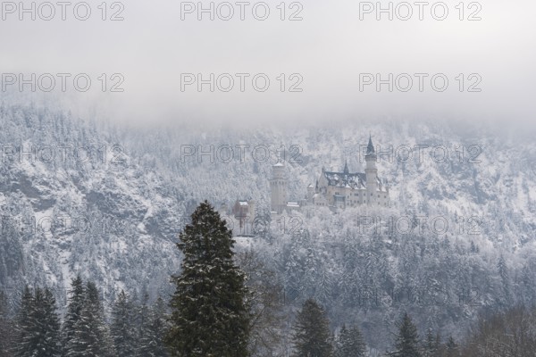 Snow-covered castle lies in a misty winter landscape, surrounded by dense forests, Neuschwanstein,