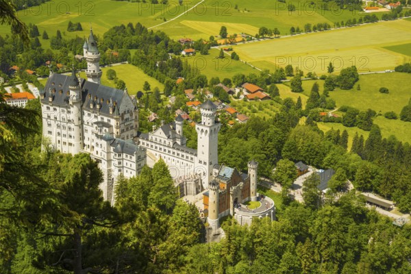 Neuschwanstein Castle, Schwangau, Ostallgaeu, Allgaeu, Swabia, Bavaria, Germany, Europe