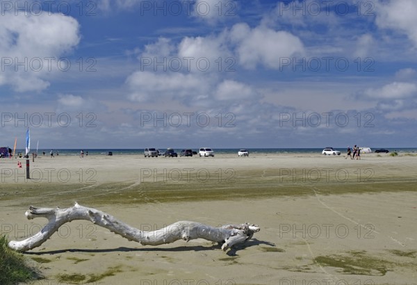 Spacious beach with driftwood under a cloudy sky, North Sea, Fanö, North Jutland, Jutland, Denmark,